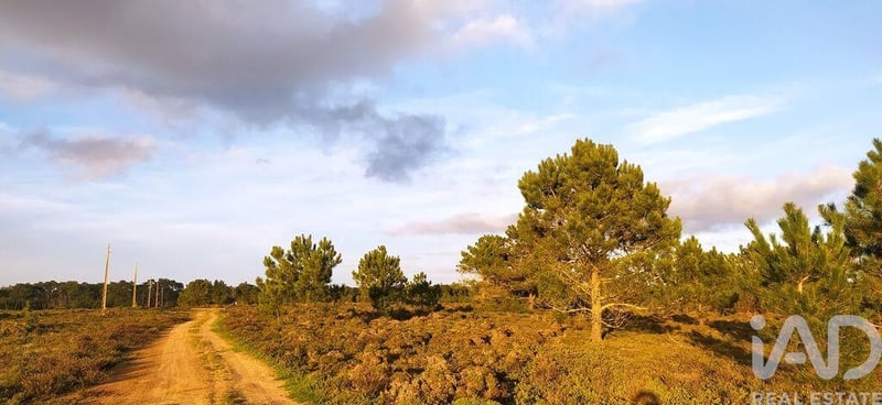 Land in Vila do Bispo - view 1