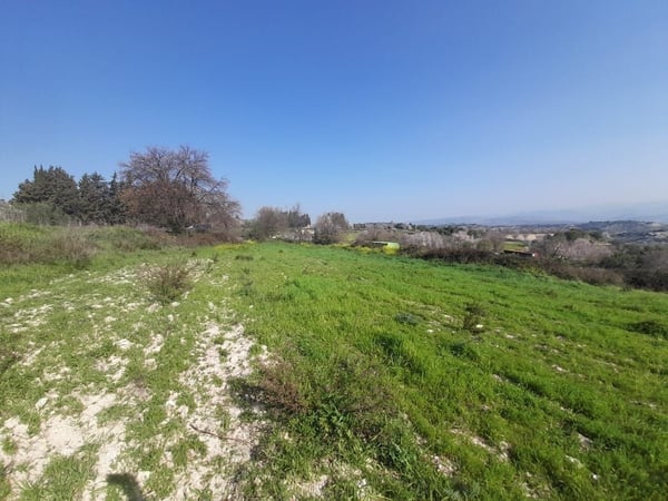 Land in Kallepia - view 1