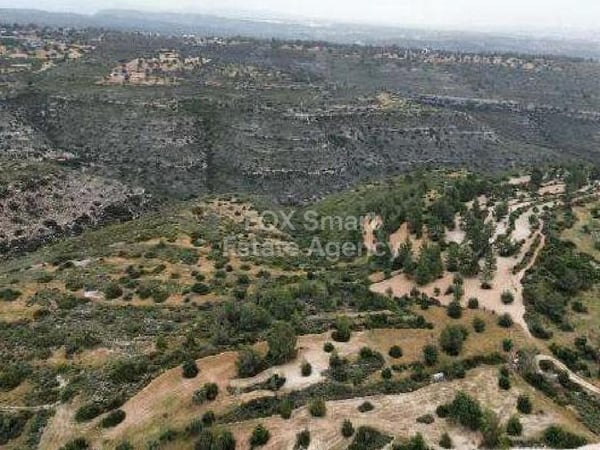 Land in Souni - view 1