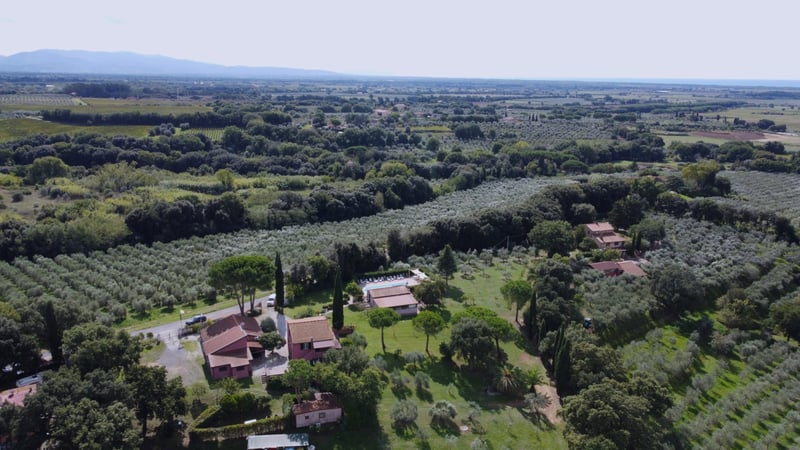 House in Bibbona - view 1