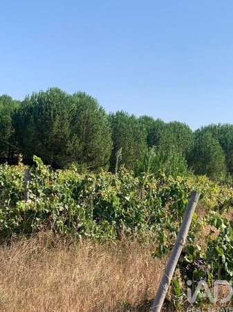 Land in Poceirao - view 1