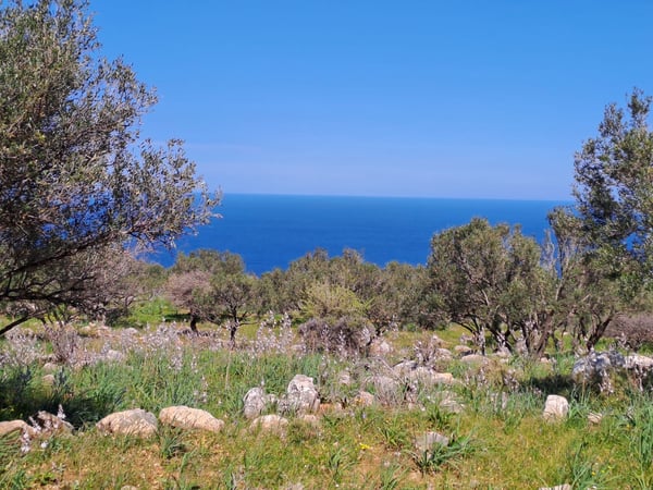 Land in Kokkinon Khorion - view 1