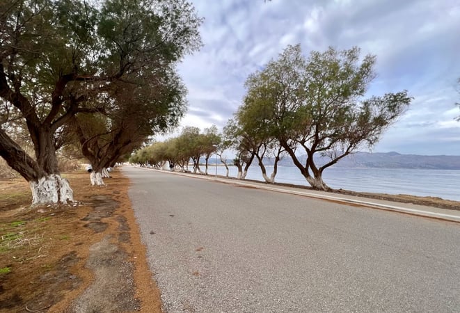 Land in Tavronitis - view 1