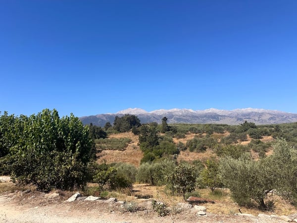 Land in Kalamitsi Alexandrou - view 1