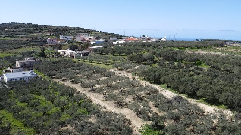 Land in Platanos - view 1