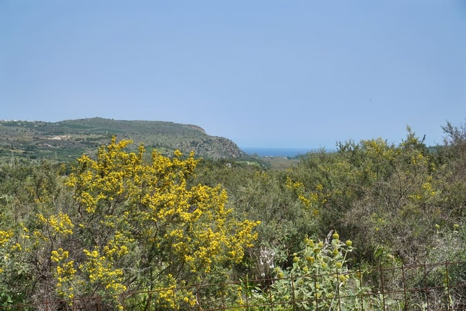 Land in Stylos - view 1