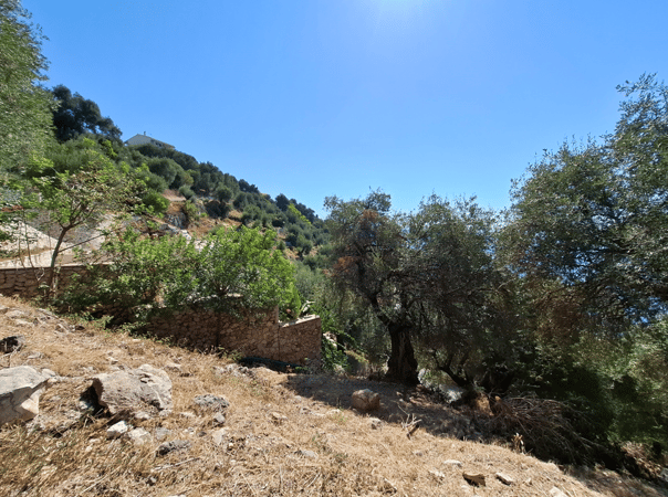 Land in Corfu - view 1