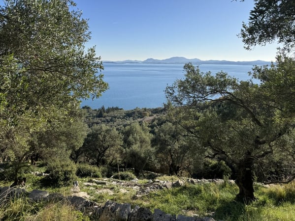 Land in Nisaki - view 1