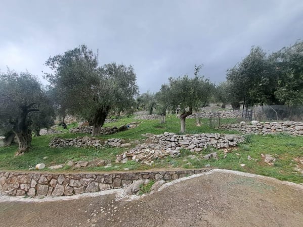 Land in Nisaki - view 1
