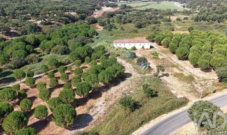 Land in Alpiarca - view 1