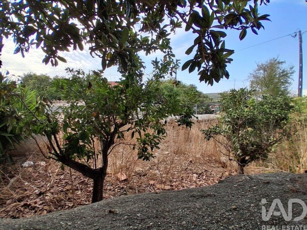 Land in Faro - view 1