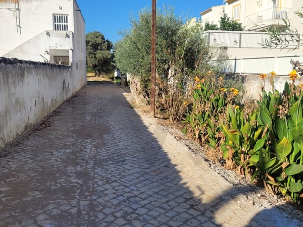 Land in Silves - view 1