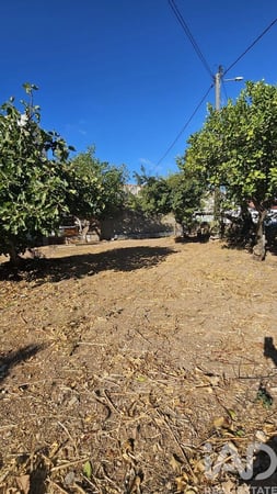 Land in Loule (Sao Clemente) - view 1