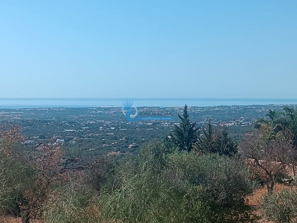 Villa in Corga - view 1