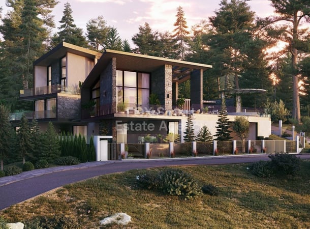 House in Pano Platres - view 1