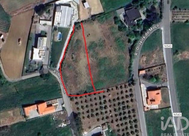 Land in Leiria - view 1