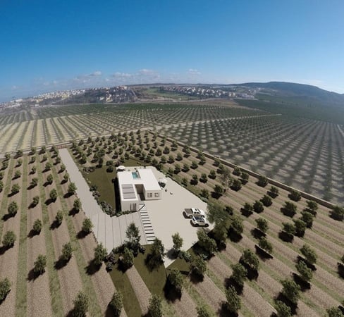 Villa in Algorfa - view 1
