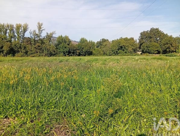 Land in Anais - view 1