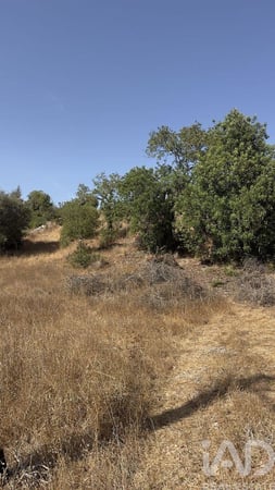 Land in Tunes - view 1