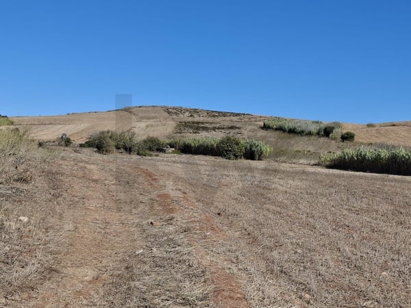 Land in Raposeira - view 1
