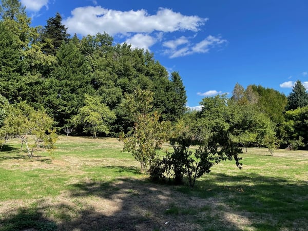 House in Lanouaille - view 1