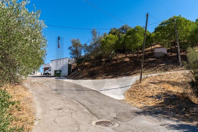 Land in Alamo - view 1