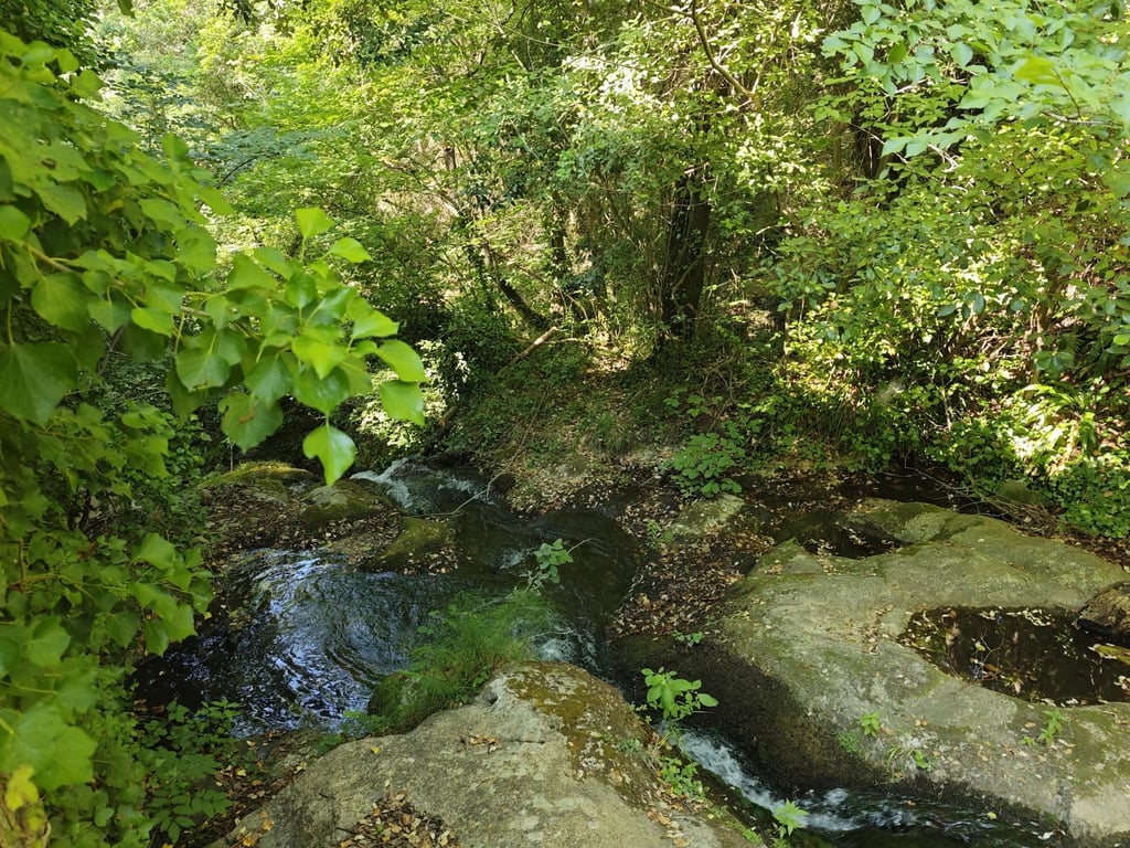 House in Caudies-de-Fenouilledes - Image 2