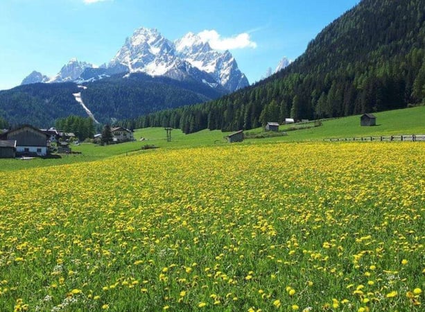 Apartment in Sesto/Sexten - view 1