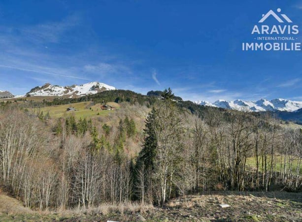 House in Le Grand-Bornand - view 1