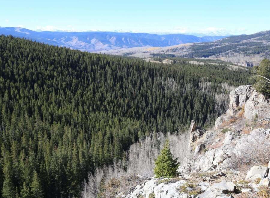 House in Basalt - Image 3