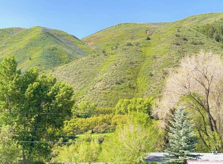 House in Snowmass - Image 5