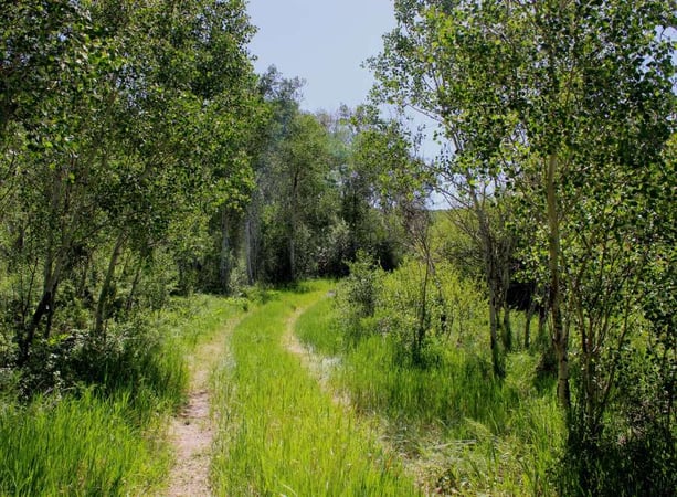 House in Snowmass - view 1
