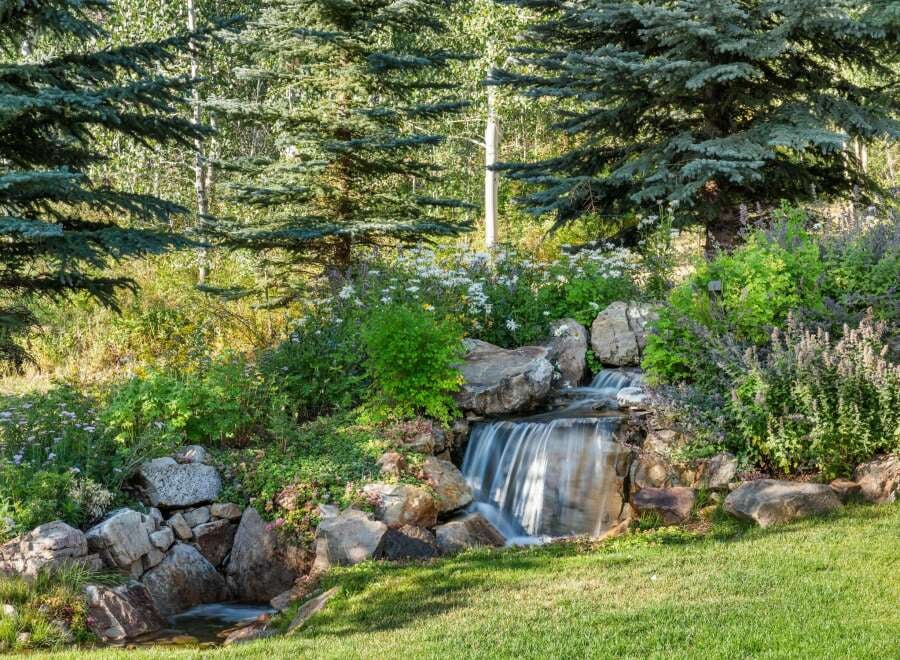 House in Snowmass Village - Image 3