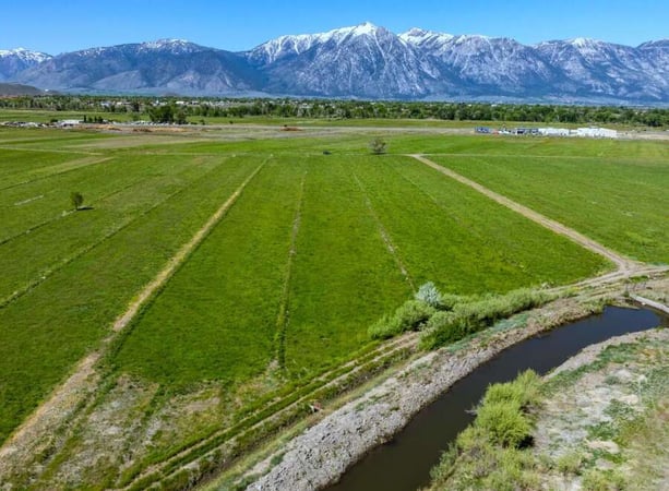 House in Gardnerville - view 1