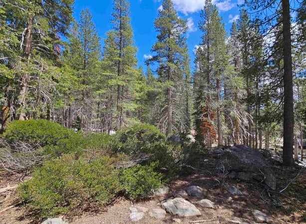 House in Norden - view 1