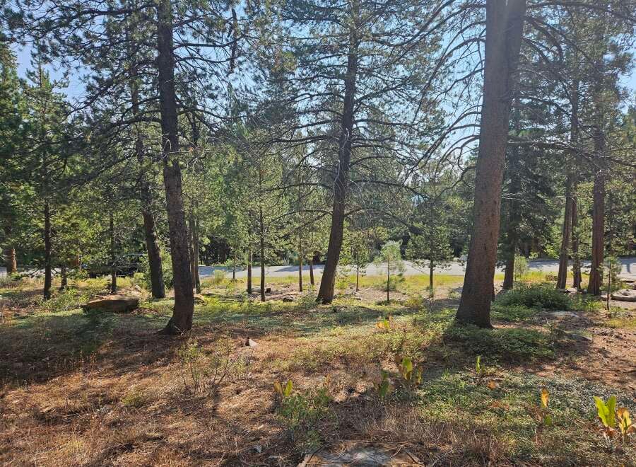 House in Truckee - Image 4