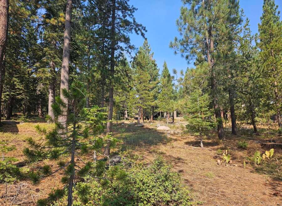 House in Truckee - Image 2