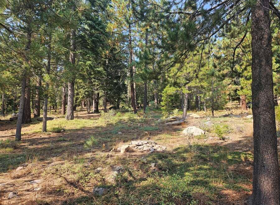 House in Truckee - Image 3