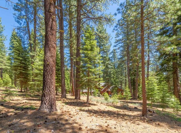 House in Truckee - view 1