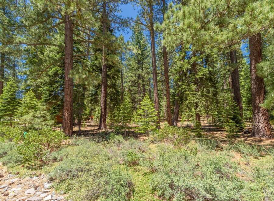 House in Truckee - Image 5