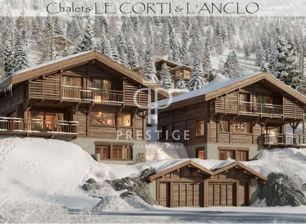 Chalet in Haute-Savoie - view 1