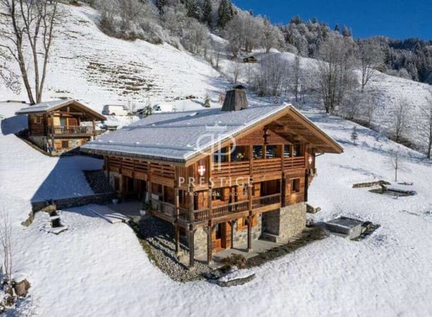 Chalet in Haute-Savoie - view 1