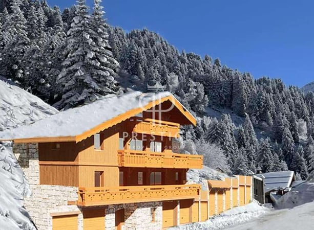 Chalet in Meribel - view 1