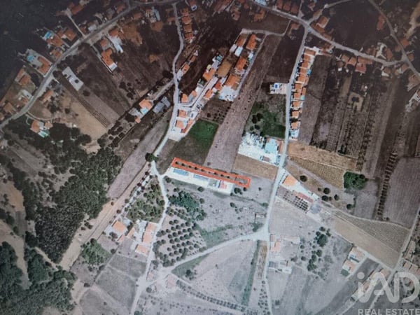 Land in Aljubarrota - view 1