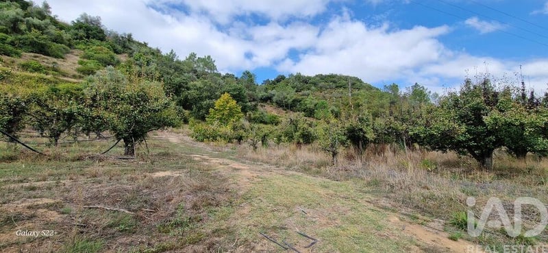 Land in Azueira - view 1