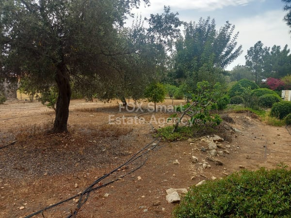 Land in Kouklia - view 1