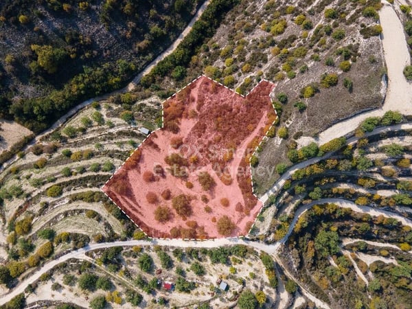 Land in Koili - view 1