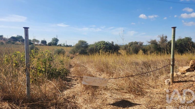 Land in Tunes - view 1