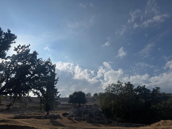 Land in Porta - view 1