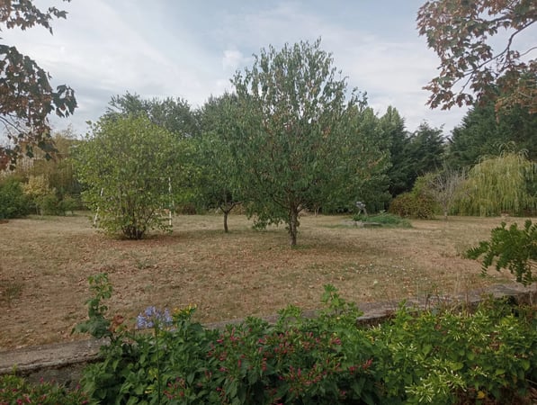 House in Brion-pres-Thouet - view 1